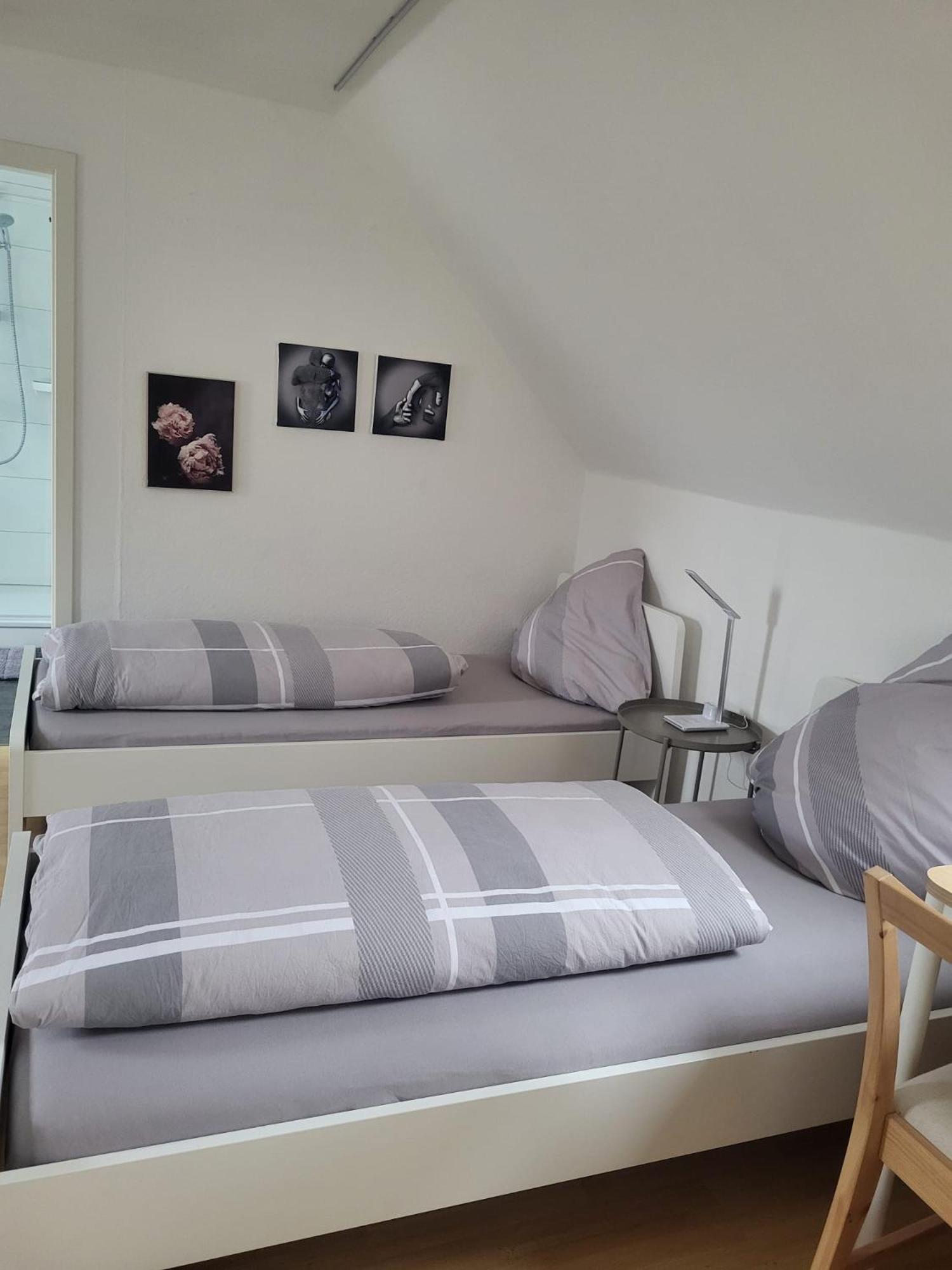 A&V Apartments Gemuetliche Rheinblick Wohnung Apt Daisy Duisburgo Esterno foto